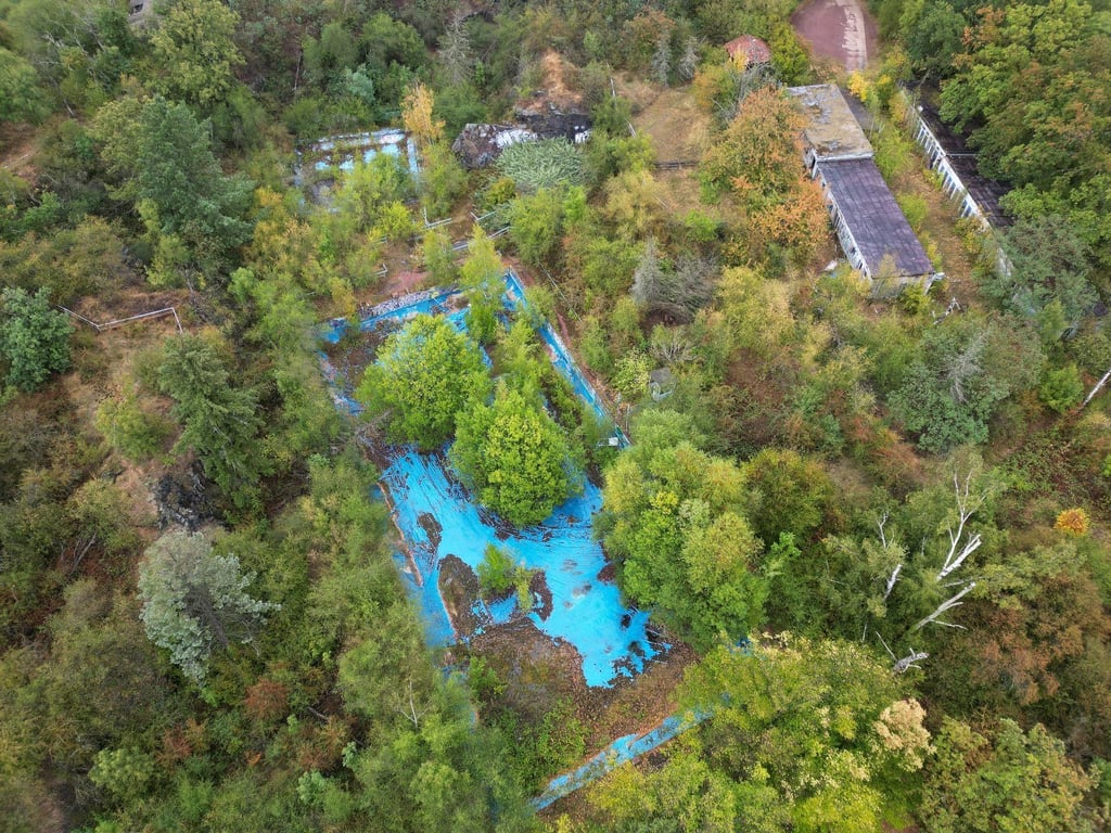In den zwei Jahrzehnten nach Schließung des Petersberg-Bades hat sich die Natur das Areal zurückgeholt. Nun gibt es Pläne, das Bad wieder nutzbar zu machen.