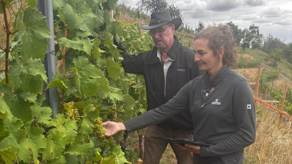 Franziska Zobel Hauptrebschutzwartin der Winzervereinigung Freyburg und Gerd Hornickel im Weinberg Silberthal.