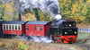 Besonders romantisch und letztlich die Keimzelle der Harzer Schmalspurbahnen als erster, 1887 eingeweihter Streckenabschnitt: die Selketalbahn zwischen Gernrode und Mägdesprung. 