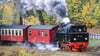 Besonders romantisch und letztlich die Keimzelle der Harzer Schmalspurbahnen als erster, 1887 eingeweihter Streckenabschnitt: die Selketalbahn zwischen Gernrode und Mägdesprung. 
