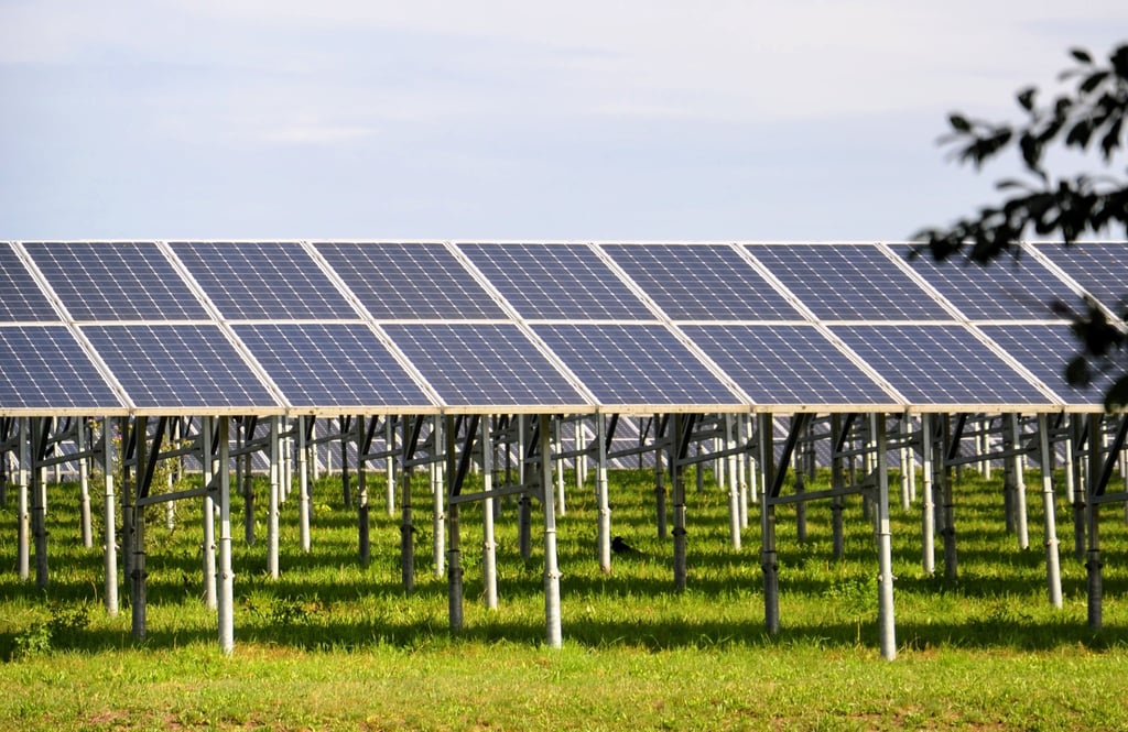 Hinsichtlich der Errichtung von Freiflächensolaranlagen gehen die Meinungen in Zerbst auseinander. Ein größeres Projekt lehnte der Stadtrat jetzt ab.