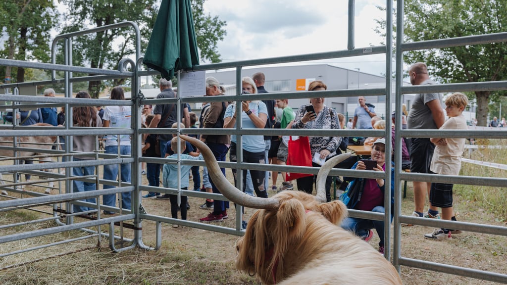 Ganz viel zu sehen von Mensch und Tier gab es beim Erntefest in Strenzfeld. „Leben auf dem Bauernhof“ zeigte den Gästen eine Vielzahl an Tieren aus der Landwirtschaft.