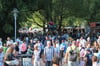 Laternenfest 2025 in Halle