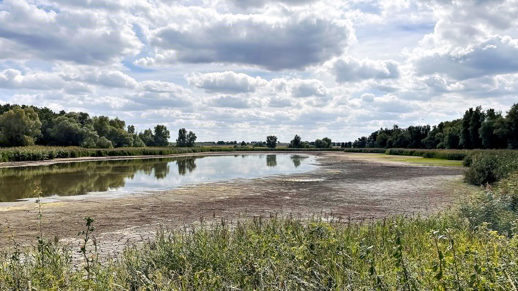Das Rückhaltebecken Ladeburg ist ein Stausee der Ziepra. Durch Verdunstung und Versickerung ist der Wasserstand massiv zurückgegangen, was vielen Fischen das Leben kostete.