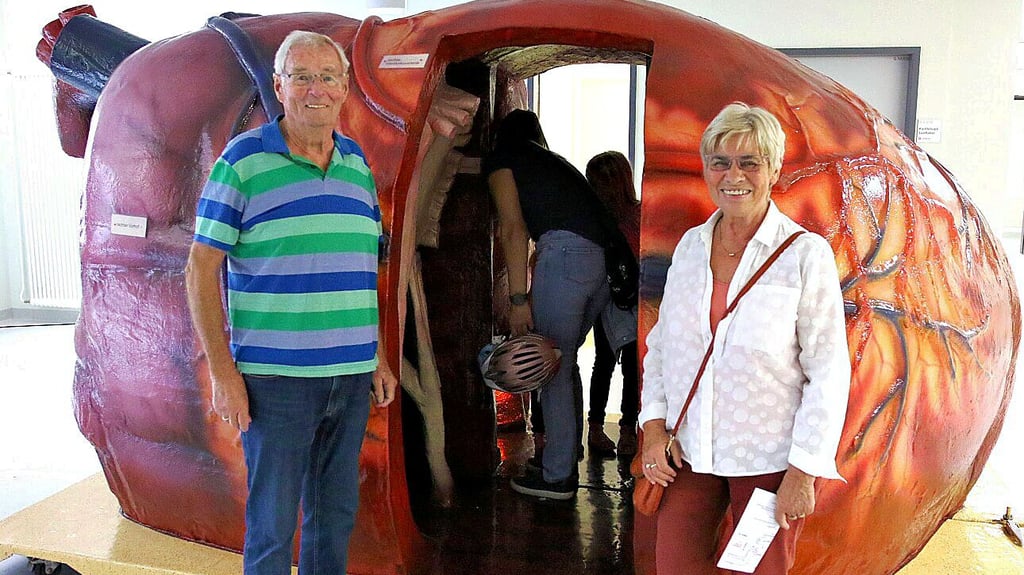 Die Stendaler Klaus und Gudrun Köhn haben beim „Tag der offenen Tür“ im Johanniter-Krankenhaus das begehbare Herz-Modell aufmerksam studiert.