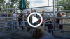 Ganz viel zu sehen von Mensch und Tier gab es beim Erntefest in Strenzfeld. „Leben auf dem Bauernhof“ zeigte den Gästen eine Vielzahl an Tieren aus der Landwirtschaft.