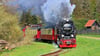 Die Harzer Schmalspurbahnen (HSB) dampfen insbesondere im Selketal einer ungewissen Zukunft entgegen.