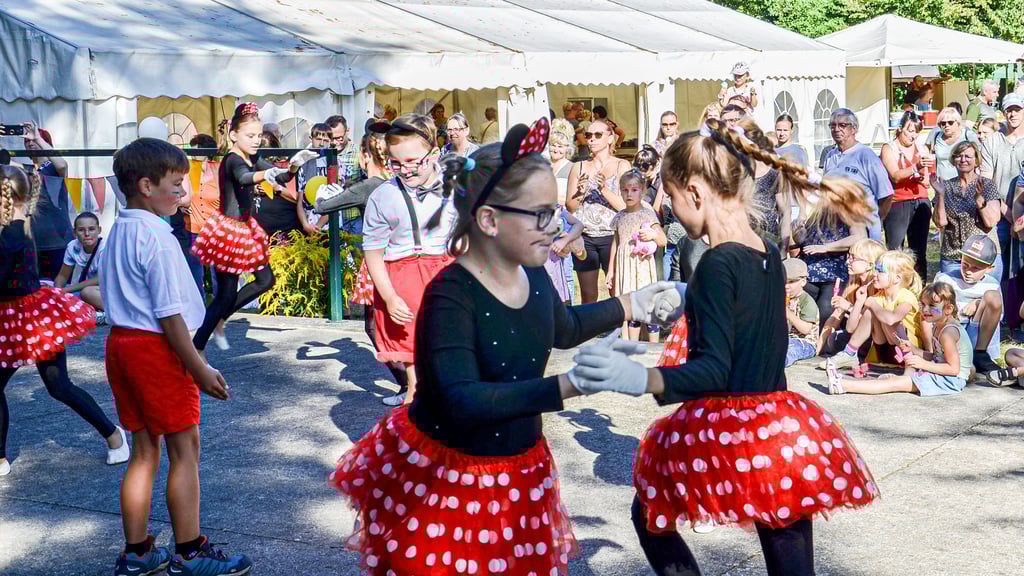 Die Tanzflöhe des Steckbyer Carneval Cubs ließen Mickey Mouse lebendig werden.