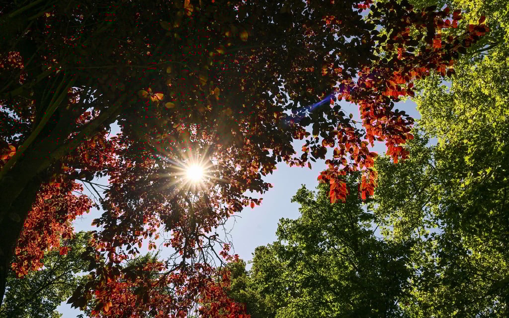 Die Temperaturen werden am Montag noch einmal sommerlich. (Archivbild)