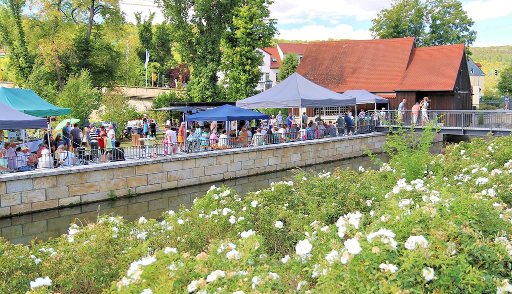 Viel los am vielleicht schönsten Ort in Bad Kösen: Das Radinselfest zieht auch in diesem Jahr viele Besucher an.