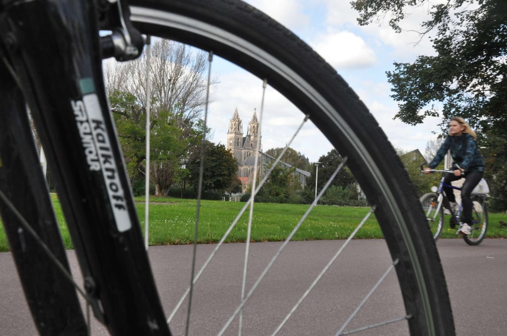 Unterwegs mit dem Fahrrad im Magdeburger Stadtpark Rotehorn. Im Hintergrund ist der Dom zu sehen.