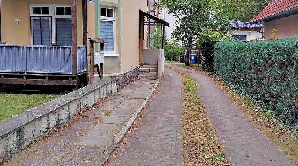 An der Hecke lag eine tote Katze und keiner wusste, wer den Kadaver entsorgen muss.