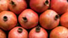 Eine raue, ledrige Schale und ein bereits deutlich trockener Blütenansatz weisen beim Granatapfel auf eine gute Reife hin.
