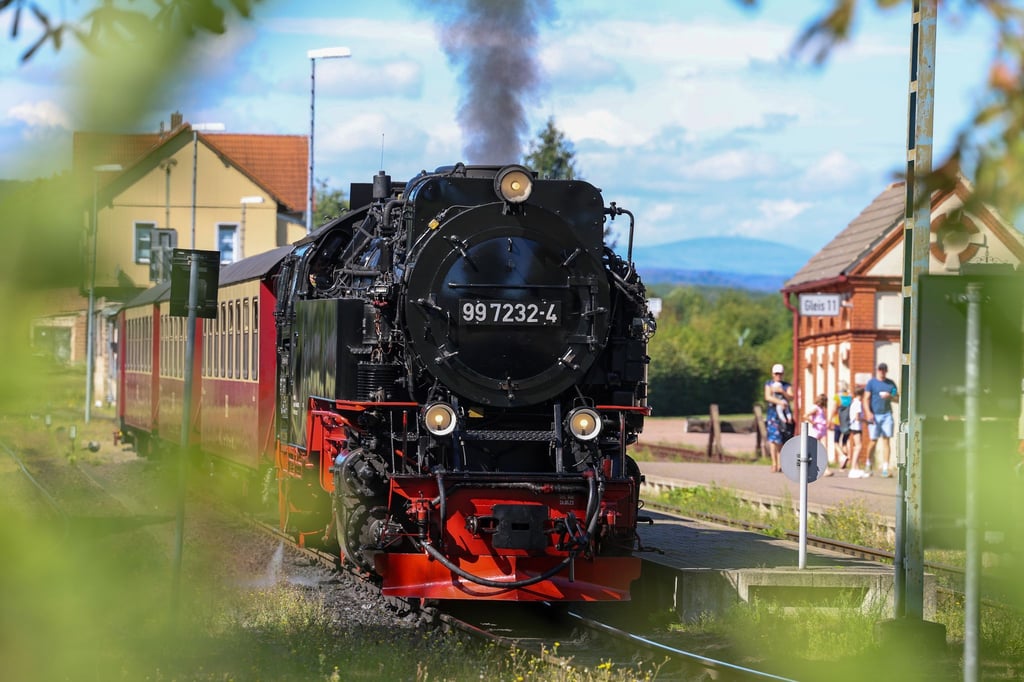 Der reguläre Betrieb auf der Selketalbahn sollte laut Gutachten nicht fortgeführt werden. (Archivbild)