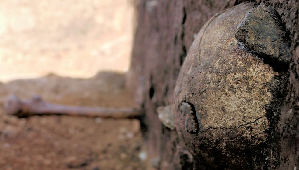 Schwerpunkt der aktuellen Grabung sind Gräber in Siedlungsgruben. Hier haben die Archäologen einen bronzezeitlichen Schädel freigelegt.