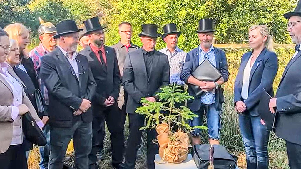 Stadtratssitzung in Arnstein mal anders: Die Kommunalpolitiker müssen über eine Baumpflanzung entscheiden und zeigen sich äußert unzufrieden über das kleine Objekt. Im Rahmen ihrer Baumpflanzchallenge kommt dann aber ein größerer Baum in die Erde.