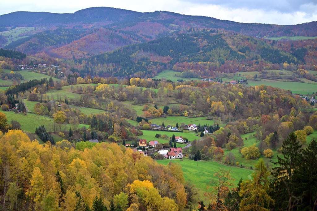 Besonders waldreich sind die Landkreise Schmalkalden-Meiningen, Saalfeld-Rudolstadt und der Wartburgkreis. (Symbolbild)