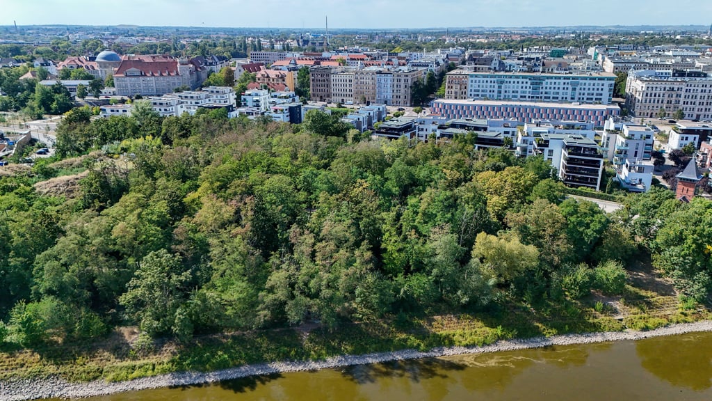 Blick auf das wild gewachsene kleine Stadtwäldchen am Hammersteinweg am Ufer der Elbe in Magdeburg.