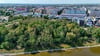 Blick auf das wild gewachsene kleine Stadtwäldchen am Hammersteinweg am Ufer der Elbe in Magdeburg. 