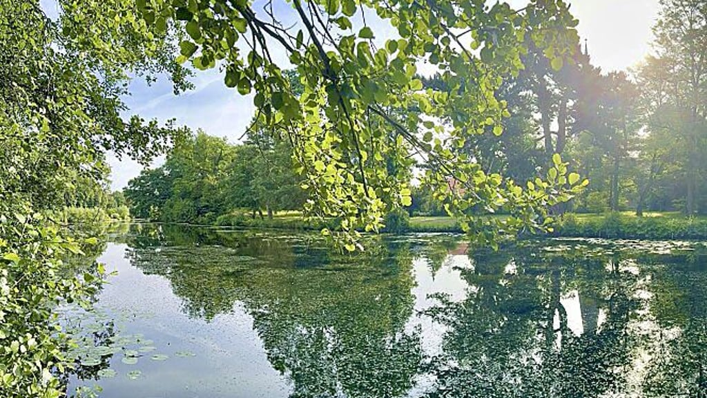 Der Pfefferteich im Park des Friedens.