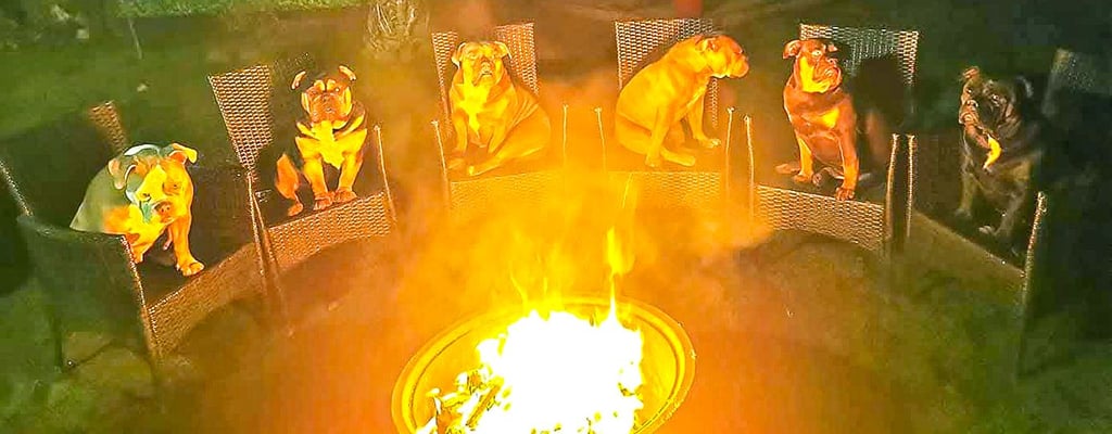 Herzerwärmend: die „Buhrau-Bullys“ am Lagerfeuer.