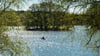 Der See liegt zur Hälfte in Brandenburg und zur Hälfte in Berlin (Archivbild).