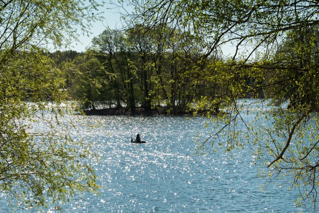 Der See liegt zur Hälfte in Brandenburg und zur Hälfte in Berlin (Archivbild).