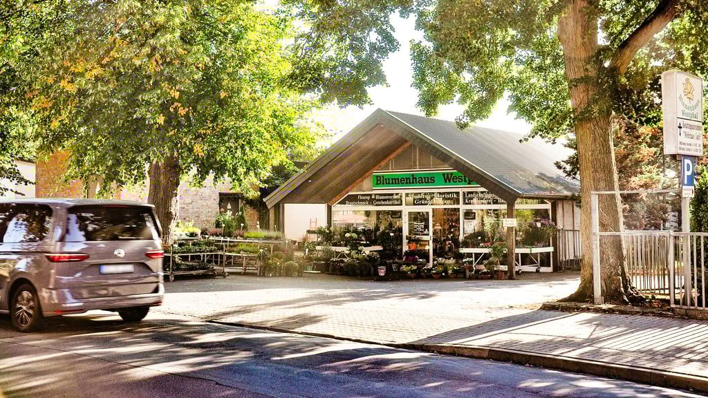 Der Blumenladen Westphal an der Lindenstraße in Seehausen (Altmark). Das rund 13.000 Hektar große Gärtnereigelände dahinter soll zum Wohngebiet entwickelt werden.
