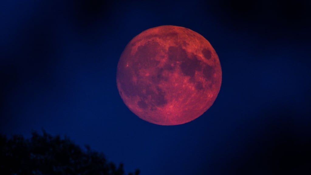 Mondfinsternis, Blutmond und Mini-Mond: Spektakuläre Himmelsereignisse wird es auch wieder im Jahr 2025 geben.