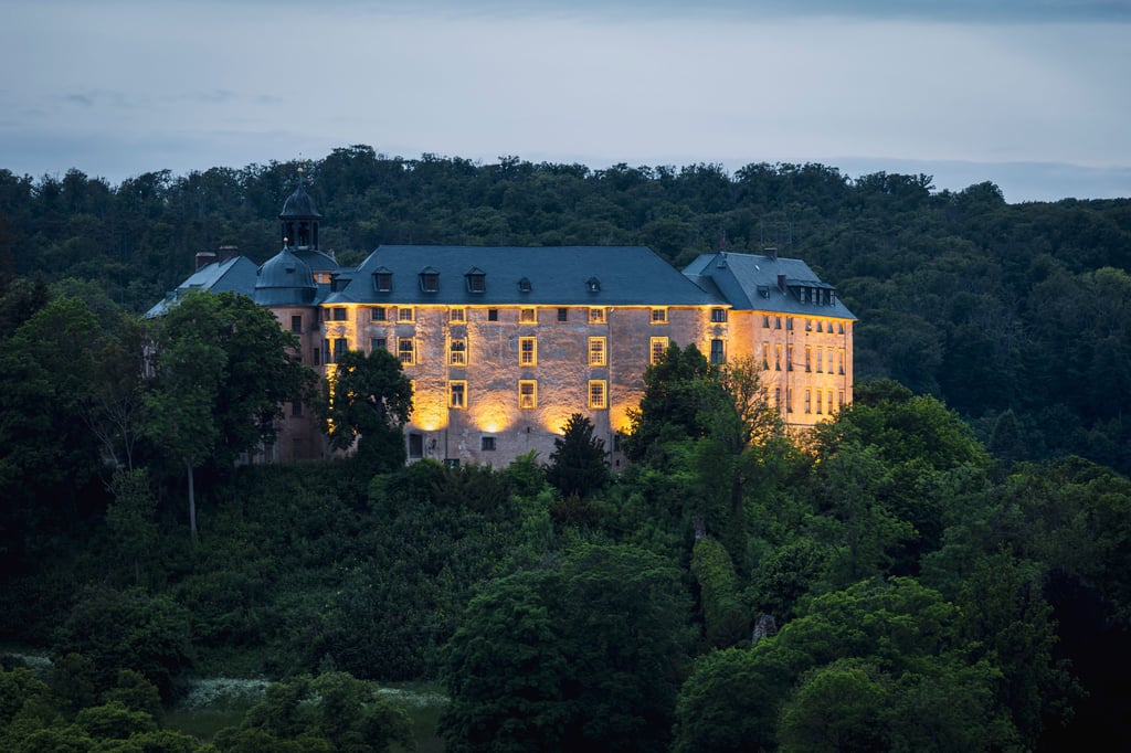 Das Große Schloss in Blankenburg ist am 5. und 6. September Veranstaltungsort des Future Forest Forums 2025. Dort werden sich zahlreiche Teilnehmer zu den verschiedensten Themen rund zum Waldentwicklung und Waldwirtschaft austauschen.