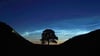 Der Sycamore Gap Tree in England war einst ein beliebtes Fotomotiv. (Archivfoto)