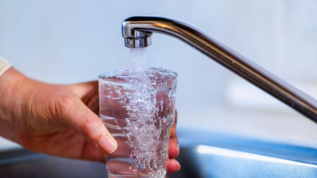 Für die Trinkwasserversorgung nutzt der Zweckverband Ostharz mit Sitz in Quedlinburg auch Wasser, das in Brunnen gewonnen wird.