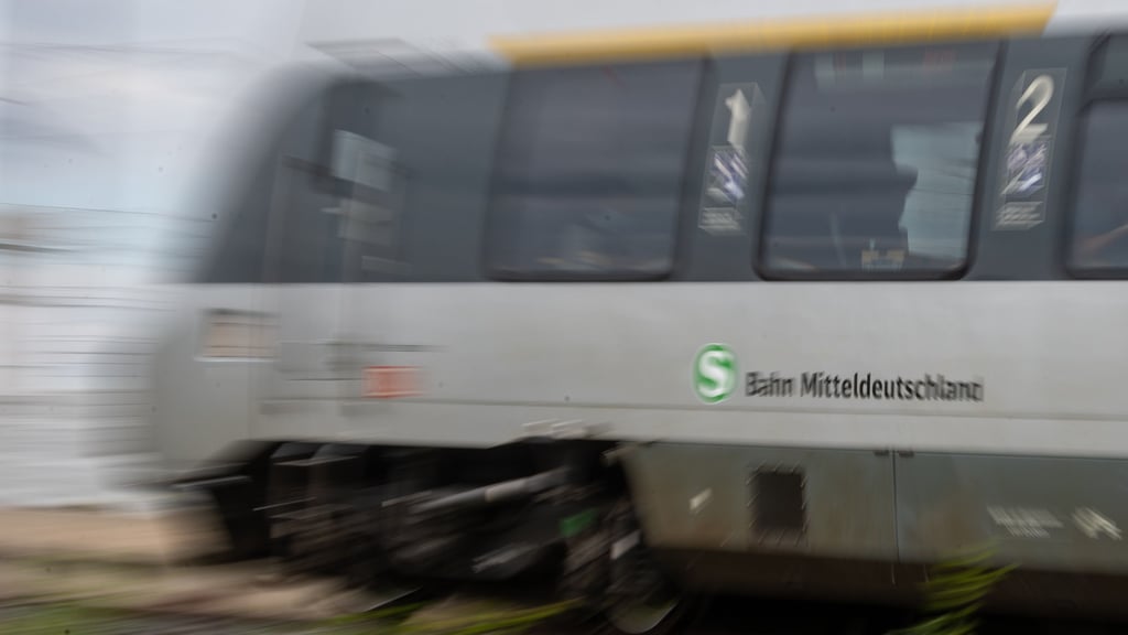 In einer S-Bahn zwischen Bitterfeld und Muldenstein weigert sich ein Mann, den Maulkorb für seinen Hund anzulegen.