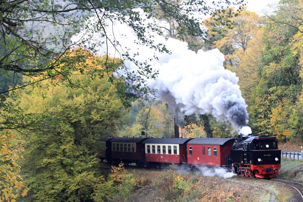 Die Selketalbahn dampft durch den Harz in Höhe Mägdesprung. Diese Strecke könnte aufgegeben werden.