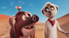Pinsel, Mkonga und Tafiti in einer Szene aus dem Film „Tafiti - Ab durch die Wüste“. (undatierte Filmszene)