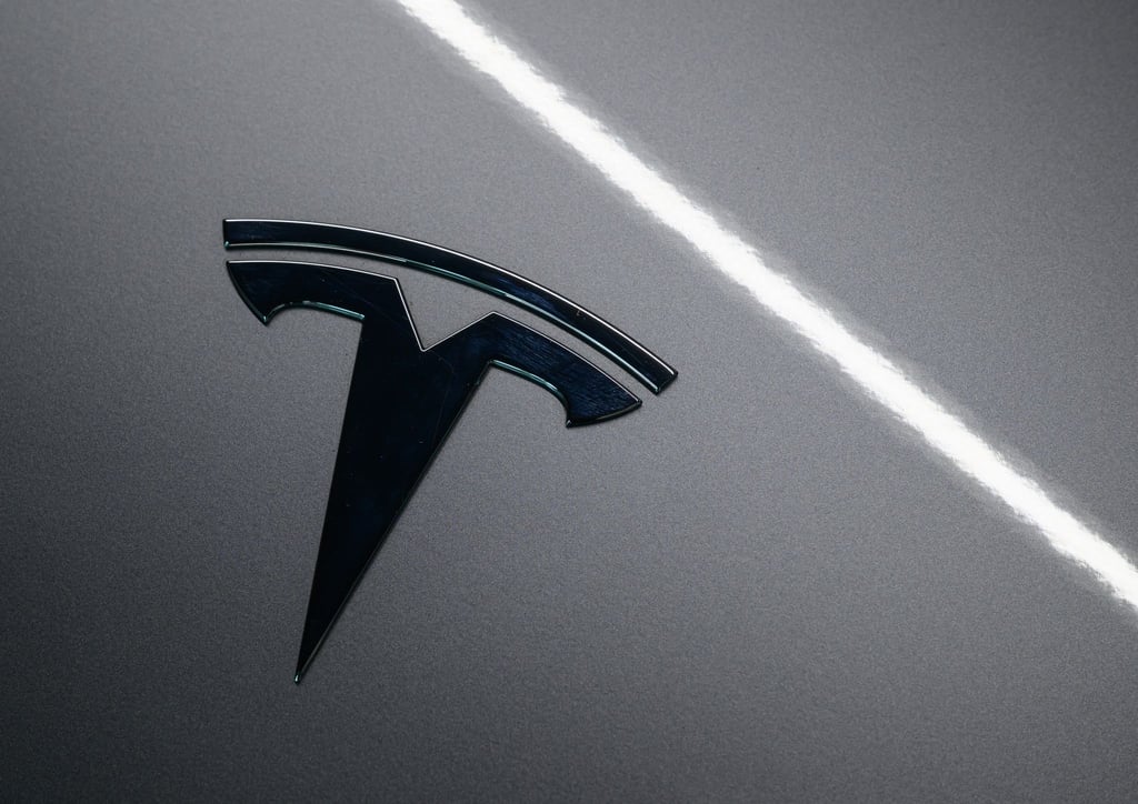 Der US-Elektroautobauer Tesla plant in Berlin ein Entwicklungszentrum (Archivbild).