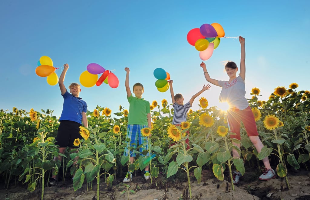 Kinder- und Familienfest gibt es in Sachsen-Anhalt an jedem Wochenende.