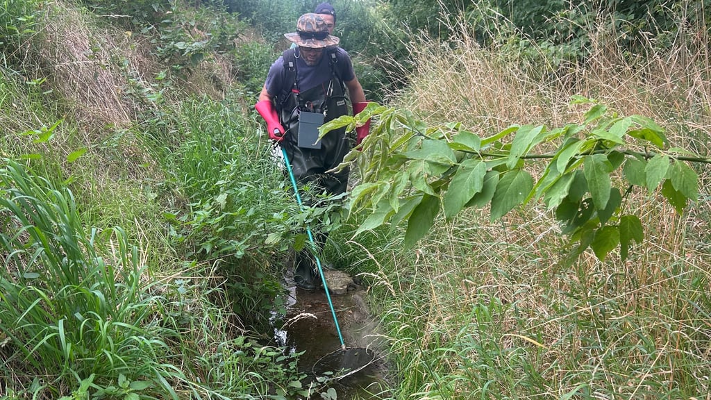 Mitarbeiter des Instituts für Gewässerökologie und Fischereibiologie Jena haben festgestellt, dass im Triftgraben in der Niederen Börde keine Fische leben.