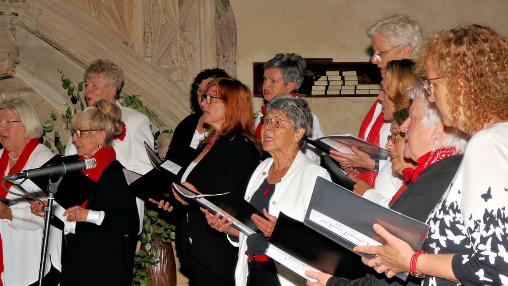 Der Frauenchor inTakt hat für ein Konzert am 14. September zwei weitere Chöre in die Saalestadt eingeladen.