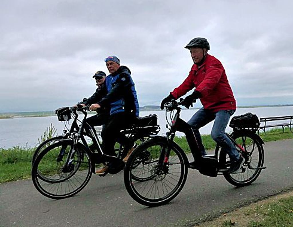 Radweg am Geiseltalsee