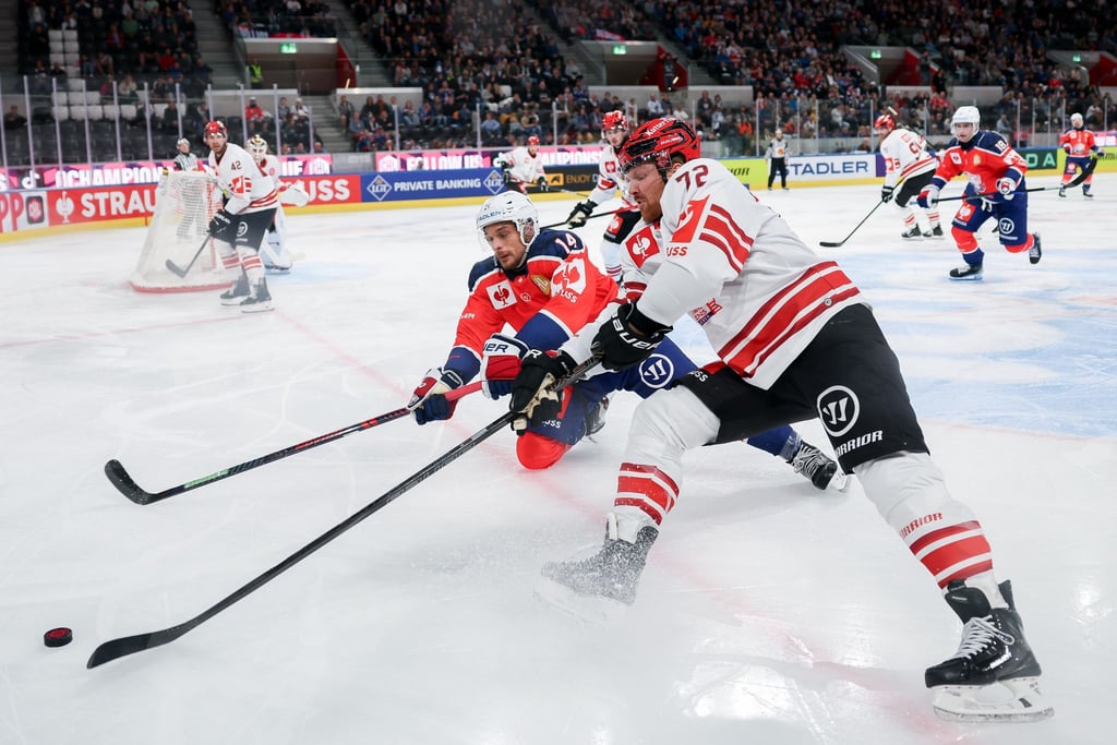 Die Pinguins Bremerhaven in der Champions League.