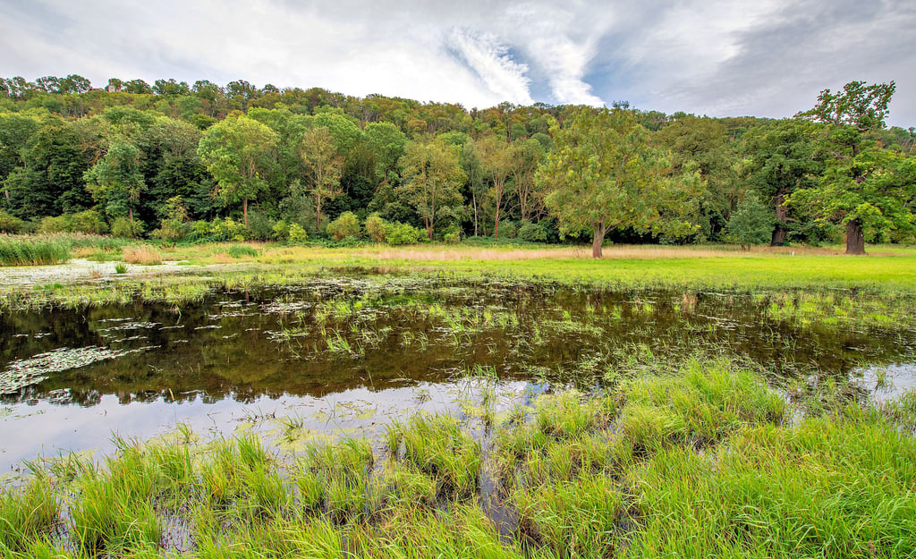 Vor einiger Zeit noch bewirtschaftete Fläche, jetzt eine Wasserlandschaft: die Wiese am Ortsausgang Almrich Richtung Schulpforte.