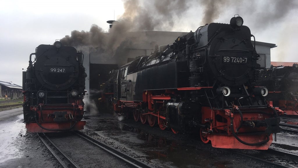 Die in den 1950er Jahren erbauten Brockenbahn-Dampfloks der Harzer Schmalspurbahnen haben ihre normative Nutzungsdauer von 35 Jahren mittlerweile um das Doppelte überschritten. Das sorgt für immer größere - und finanziell kostspieligere - Probleme bei der Instandhaltung.
