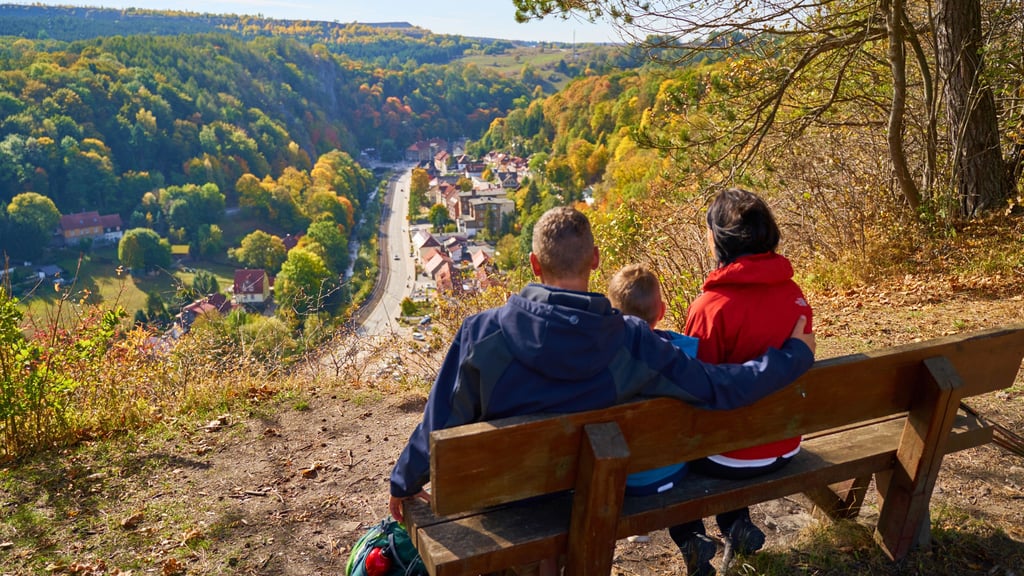 Der Oberharz bietet zahlreiche Möglichkeiten zum Wandern und Entspannen.