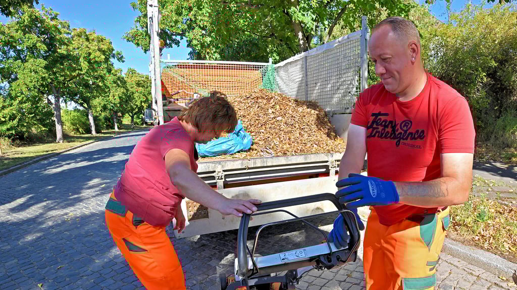 Mitarbeiter des Bauwirtschaftshofes bei der Grünflächenpflege, hier im Bereich Schmidtmannstraße.