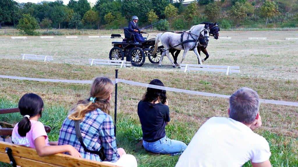 Zum 30-jährigen Bestehen gab es ein zweitätiges Reitturnier vom Reit- und Fahrverein Uchtetal-Nahrstedt.
