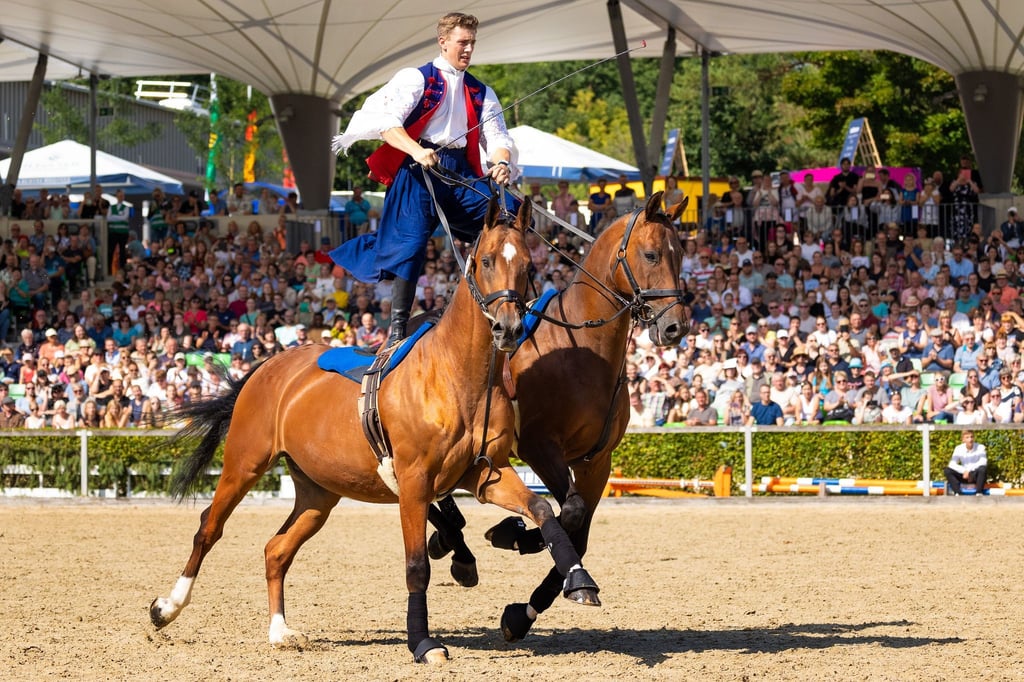 In Moritzburg ist am Samstag die traditionelle Hengstparade eröffnet worden.