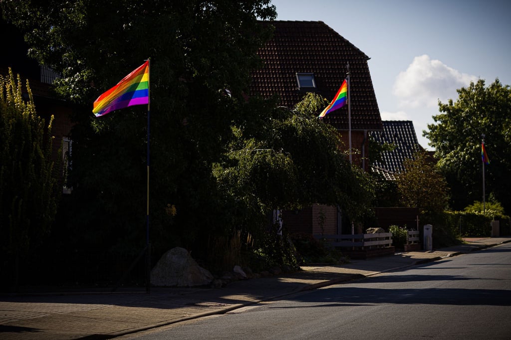 Regenbogenfahnen wehen in einer Straße in Wahrenholz.