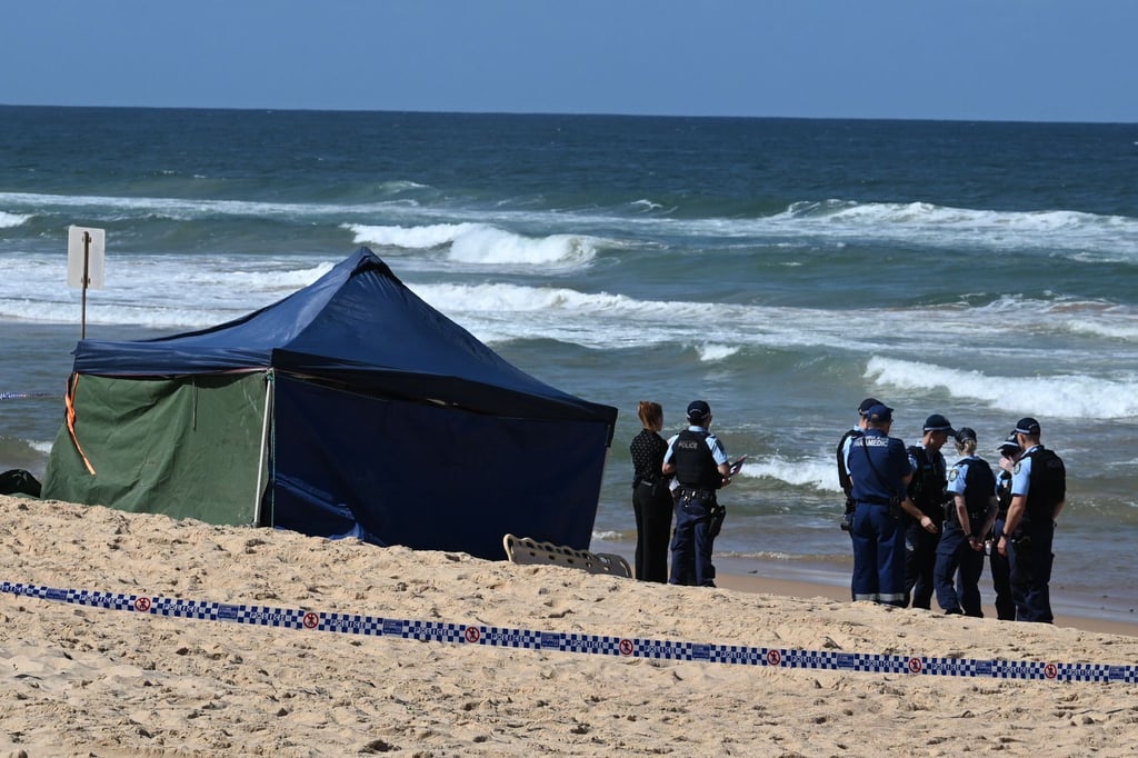 Bissspuren deuten darauf hin, dass der Surfer Opfer eines Weißen Hais wurde.