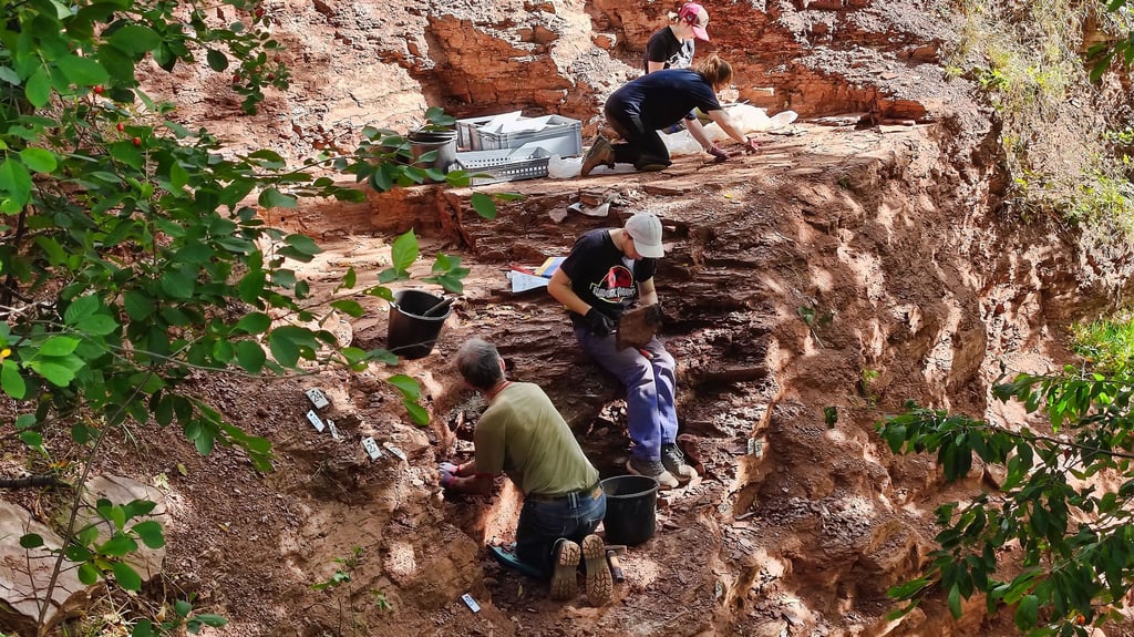 Studenten und Freiwillige graben in dem ehemaligen Sandsteinbruch bei Wolferode.